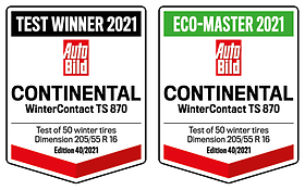 Continental WinterContact TS 870 185 / 60 R15 84T
