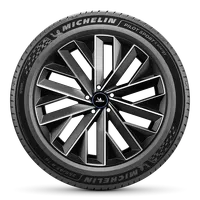 Michelin PILOT SPORT 5 ENERGY 255 / 40 R21 102Y 2