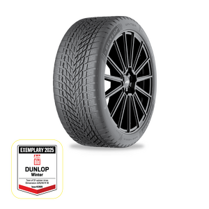 Dunlop WINTER 195 / 55 R18 93H