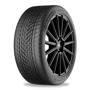 Dunlop WINTER 205 / 60 R16 92H