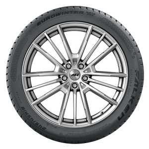 Falken EUROWINTER HS02PRO 235 / 60 R18 107V